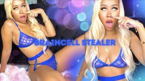 Braincell Stealer - NONSTOP Sniff Training