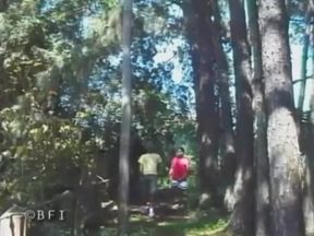 Falls n balls 11