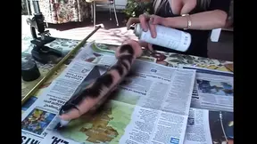 Step Princess Celine Maxima gets her throat banged by a black cock