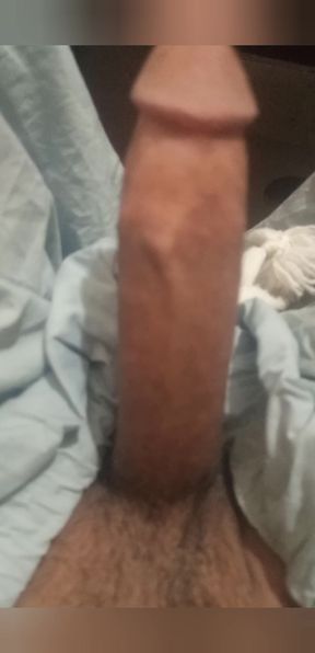 This is me and my cock. If anyone wants to enjoy my cock, you can contact me, male, female, shemale.