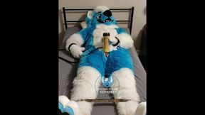 Murrsuiter strokes himself