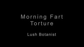 Morning Farts