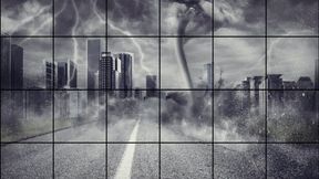 LP-281 Sex Wrestling 4 Way Mixed Match-1080HD