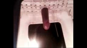 pene a la le&ntilde_a