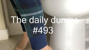 The daily dumps #493 mp4