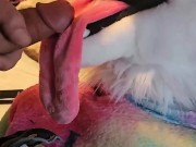 Good Boy. Swallow. Good Puppy. Drink my Cum.