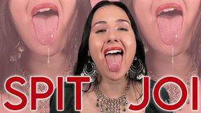 Stroke With My Spit