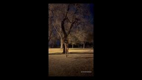 Nude Cartwheels in a Park. It Was Cold, but the Thrill Warmed Me up:)