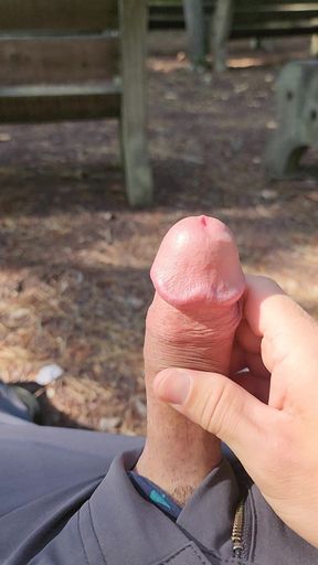playing with precum at the park. thick hard mushroom tipped cock