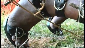 Brazilian black shemale rides a hard cock and cums