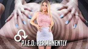 PIED Permanently