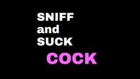 SNIFF AND SUCK COCK jerk off instructions JOI