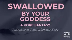 Goddess Vore Fantasy Immersive ASMR for Tiny You
