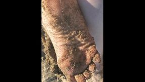 Femdom Sandy Dirty Feet Wrinkled Soles Giantess Feet Foot Fetish Outside on Beach Stomping