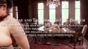 Titty Oriental & brunette fuck at party