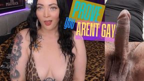 Prove You Aren’t Gay - WMV