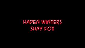 shay fox and hayden winters threesome blowjob billy glide big cock