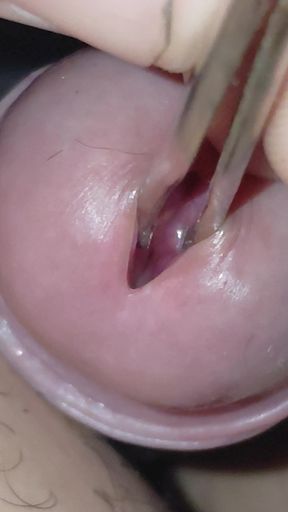 Playing with the head of my dick