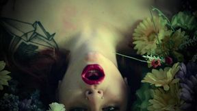 Like Your French Girl