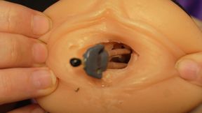 Giantess Stepsister Humiliates Tiny Stepbrother