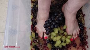 Mila - French crush - Grapes (View 02)