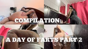 COMPILATION: A DAY OF FARTS PART 2