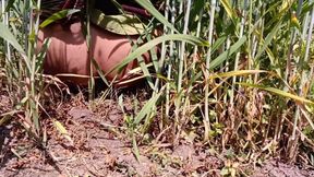 Outdoor sex vedio penish boljob faram lund chusvaiaya