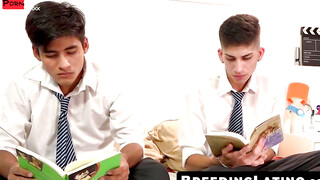 Unleashing the Beast 8 Horny Latin Twinks in a Warped Fucked Frenzy