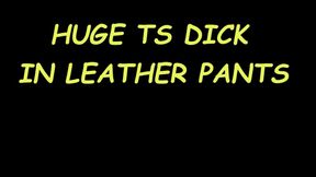 Huge trans cock in leather pants