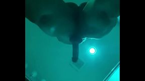 Defiant Again straddling the camera