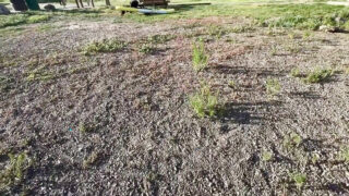 A bunda apertadinha da gata de biquíni foi fodida com força e recheada de esperma