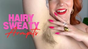 Hairy Sweaty Armpits