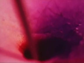 Pink Narcissus (1970)