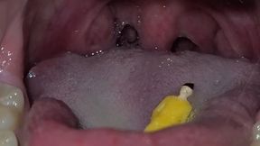 The Cheater (Tiny Swallow)