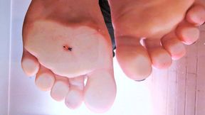 My Tiny Property 2 - Bathing my Tiny Slave in my Spit - Under Glass, showing soles, wiggling toes, macro POV of foot sole [1080p]