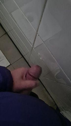 Bulgarian big thick dick cum in public toilets