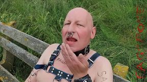 Wolfgang Schanz exposed once more by Fagspose