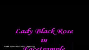 A049 Lady Black Rose in facetrample
