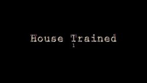 House Trained