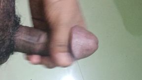 Indian perfect Cock