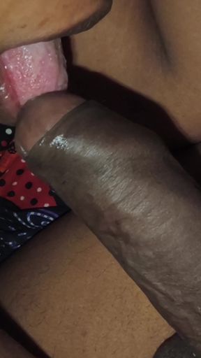 Bedtime Before a Small Blowjob Fun