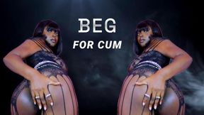 Beg for cum