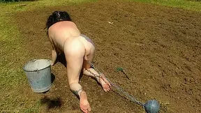 Gardening For Naked Slave Slut Pt1