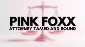 Attorney Tamed And Bound