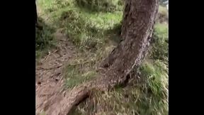 Do you like to search for beautiful spots to camp? ️ I'_m so happy to have the possibility to travel with our jee...