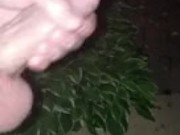Big dick outdoors late night teen cumshot