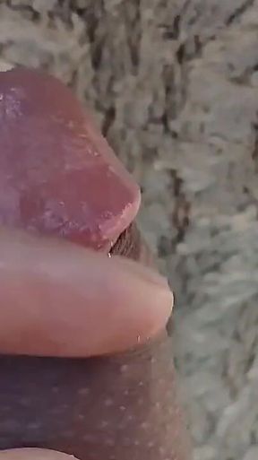 Beautiful Young College Girl Is Getting Fucked on the Road, They Have Her on All Fours