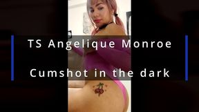 ts angelique monroe - cumshot in the dark