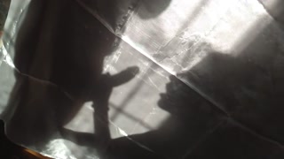 Shadow play, slow motion and satisfying sound. BabyFrankie-KRN