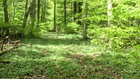 Nude walk in the woods, wanking and huge cumshot